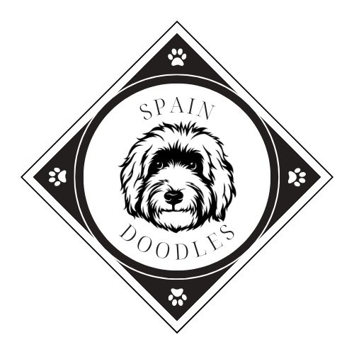 Criadores de Labradoodles Australianos