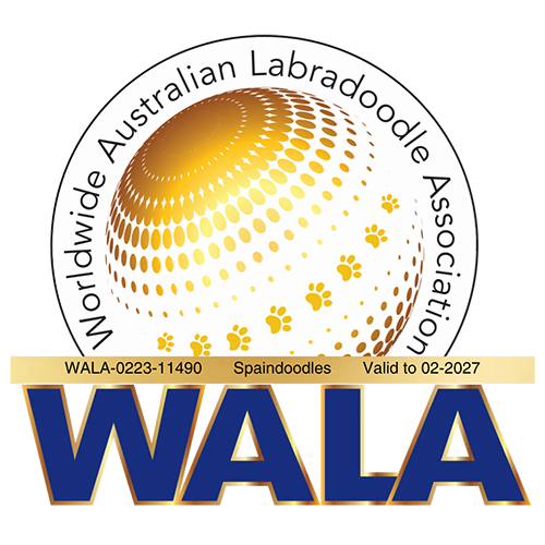 Worldwide Australian Labradoodle Association